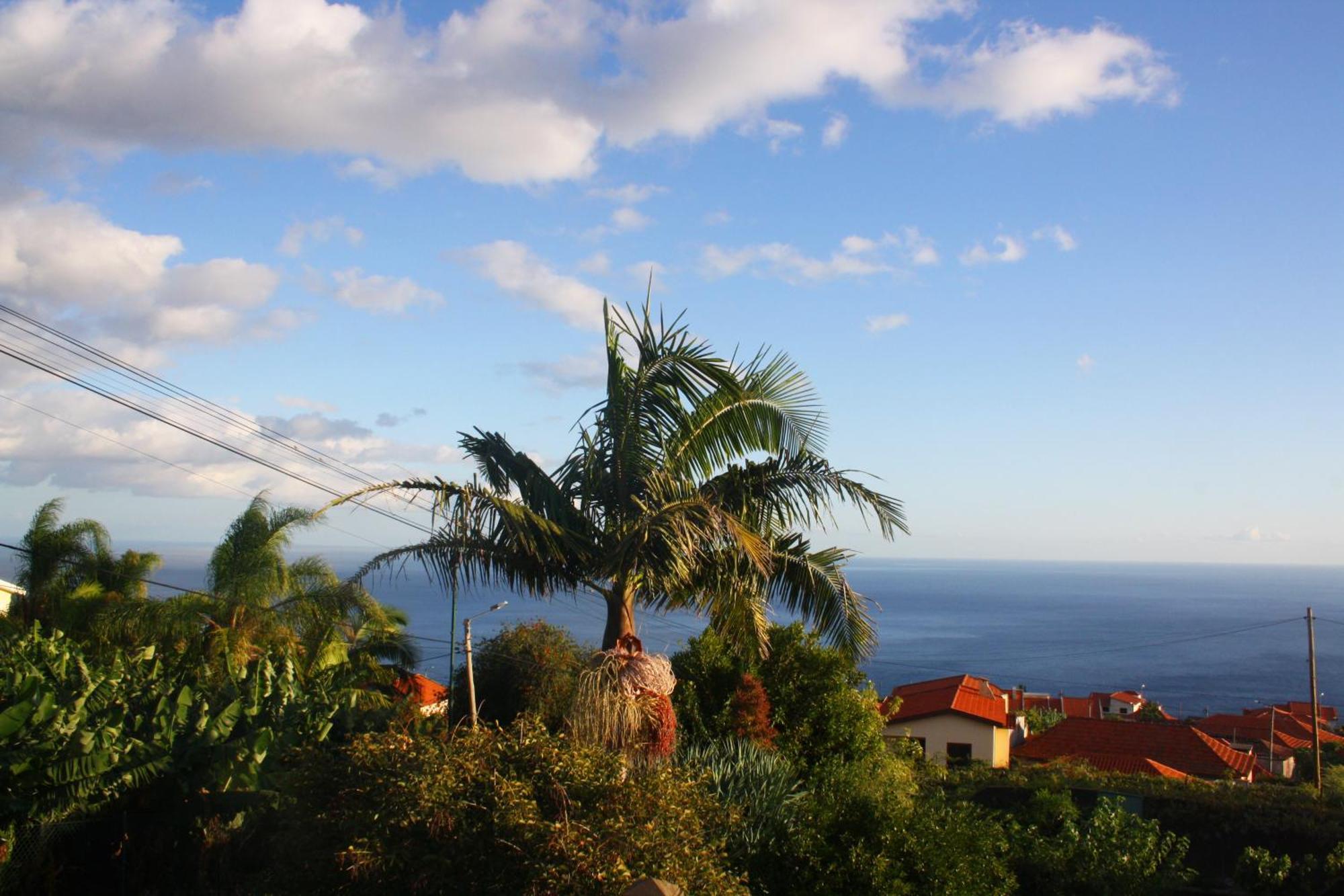 Lugar Dos Louros 2 Estreito Da Calheta